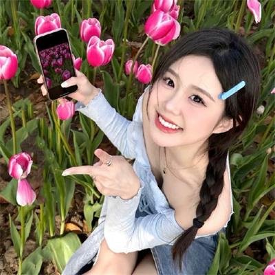 探秘企鹅王国
